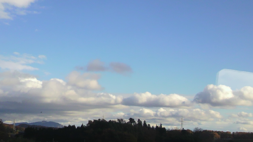 11月の夏_b0118287_14334352.jpg