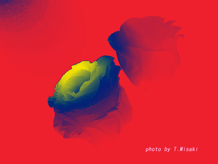 d0085887_23214721.jpg
