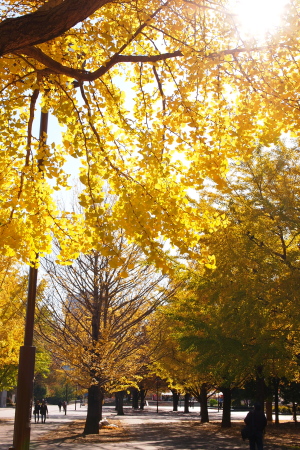 a0206588_14134076.jpg