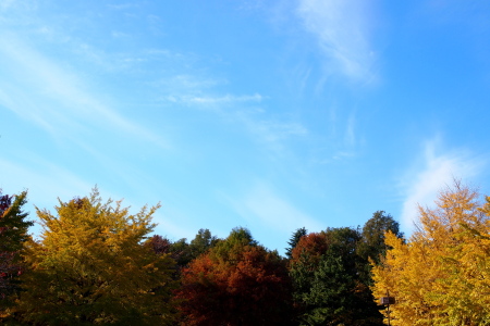 a0206588_14425064.jpg