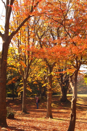 光が丘公園＠練馬区①_a0206588_1491996.jpg