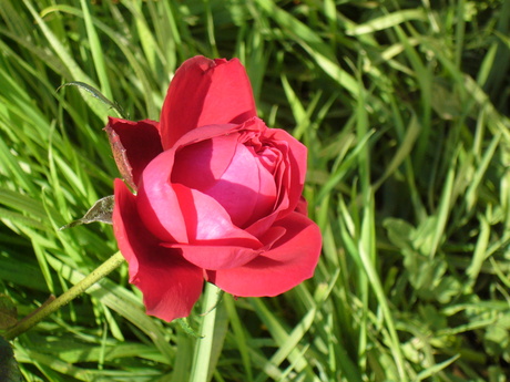 a0216392_23264970.jpg