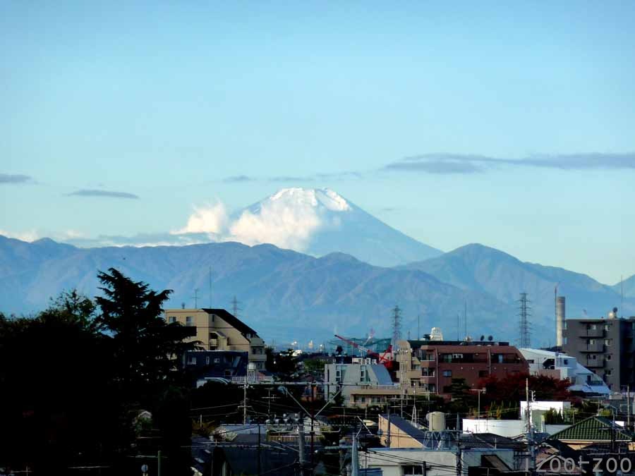 富士山っ!!_c0223095_1121566.jpg