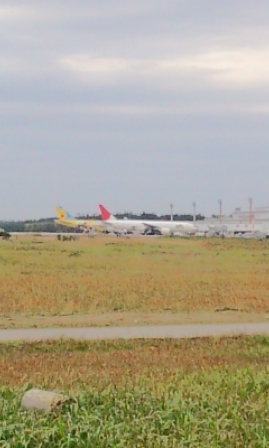 b0138798_1635516.jpg