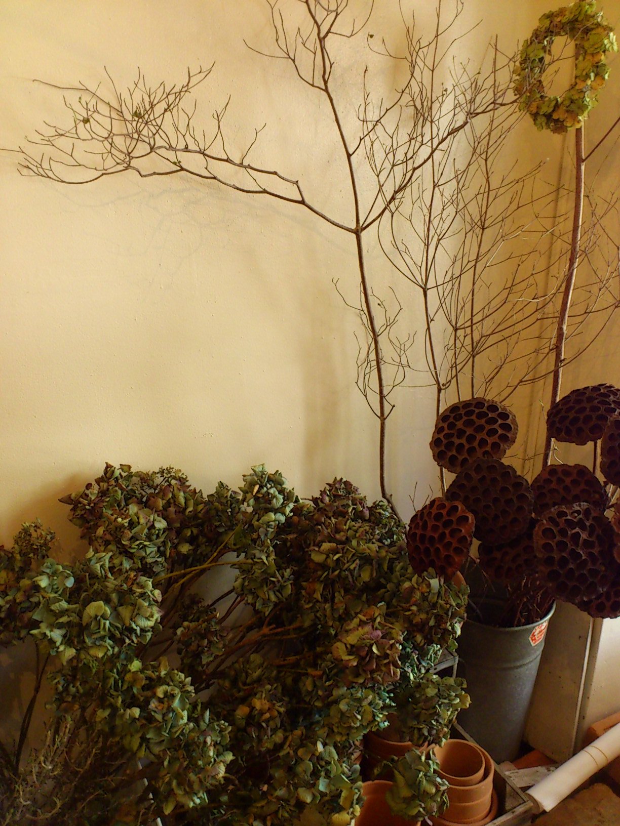 c0164401_21698.jpg