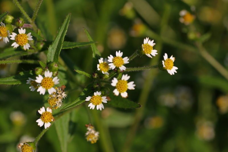 d0248502_89629.jpg