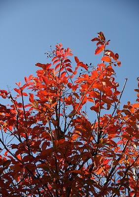 a0123003_14165893.jpg
