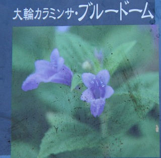 a0123003_17185577.jpg