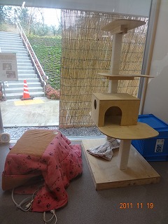 日本最新の横浜市動物愛護センター!_d0050503_951098.jpg