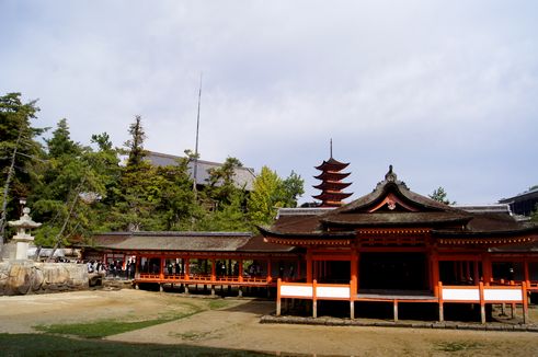 d0149103_1701811.jpg