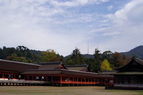 d0149103_1771540.jpg