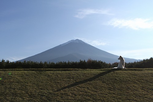 秋　＆　富士山　写真　/　Autumn & Mt. Fuji Photos_a0032004_18482248.jpg