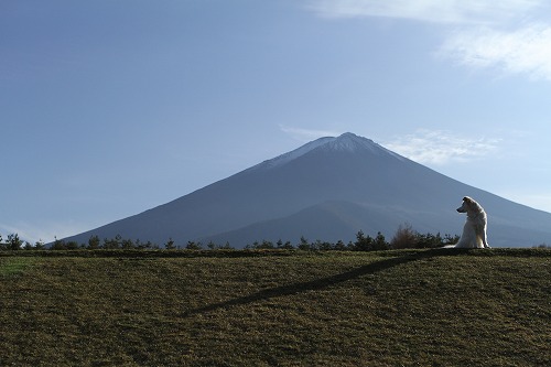 秋　＆　富士山　写真　/　Autumn & Mt. Fuji Photos_a0032004_18491716.jpg