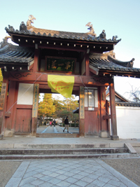 京都宇治の萬福寺芸術祭_a0115906_13445375.jpg