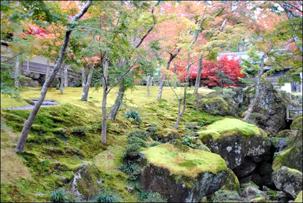 箱根の紅葉　～　ぴんぼけクラブ_c0051107_913149.jpg