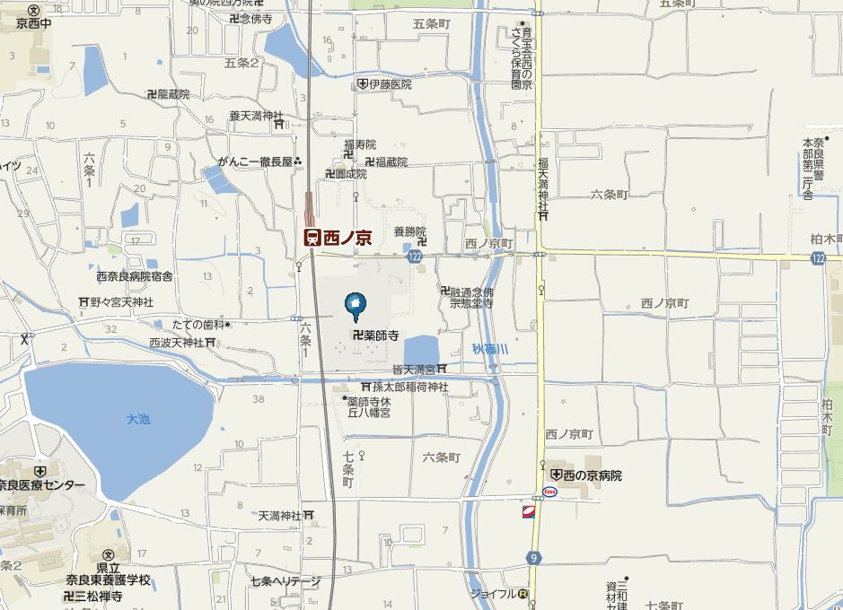 薬師寺 と 玄奘三蔵院 (奈良)_a0042310_2247890.jpg