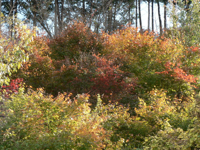 f0219710_7134550.jpg