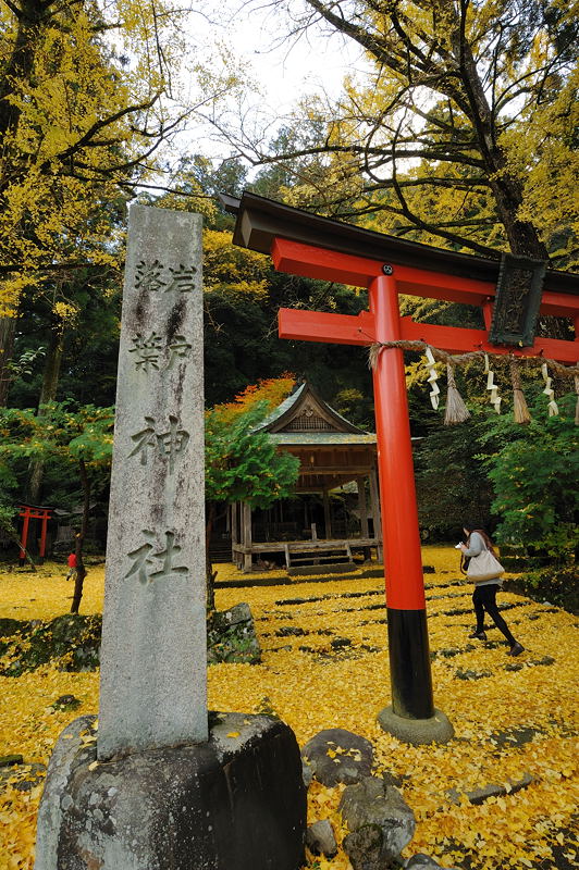 2011京都の紅葉・岩戸落葉神社_f0032011_19535266.jpg
