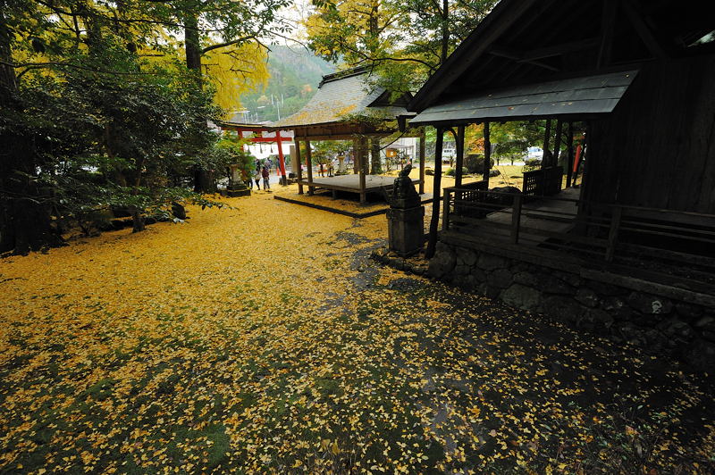 2011京都の紅葉・岩戸落葉神社_f0032011_19542429.jpg