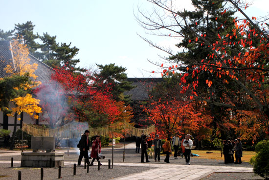 広隆寺 展読_e0048413_20544297.jpg