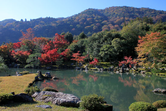 天龍寺　紅葉_e0048413_2236873.jpg