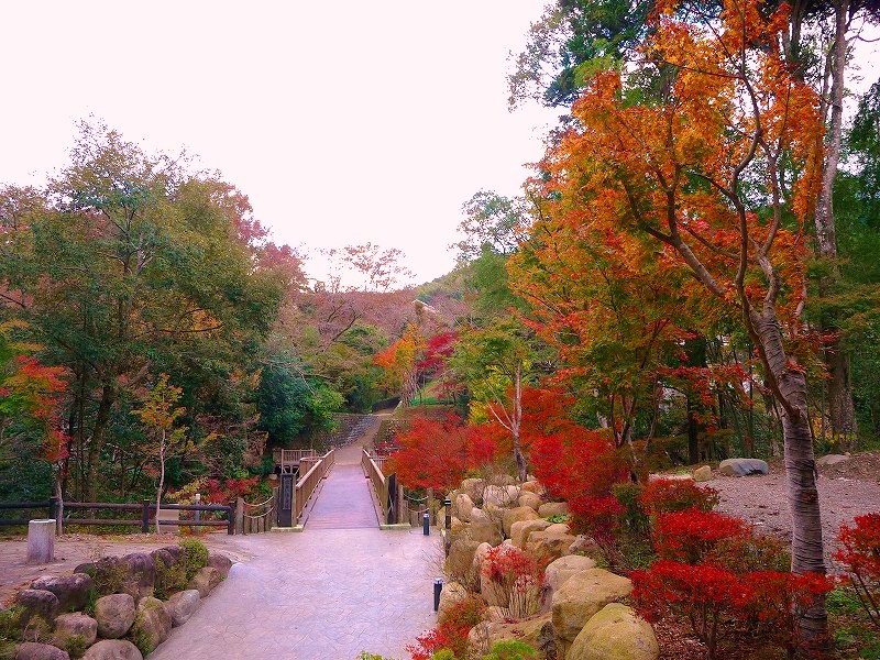 f0182513_23214921.jpg