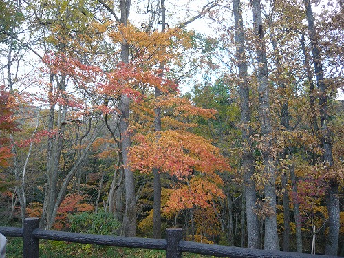 f0223914_10574077.jpg
