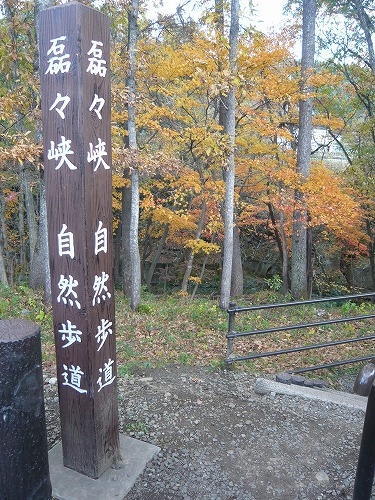 f0223914_105747100.jpg