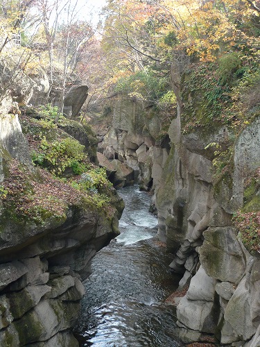 f0223914_1058051.jpg
