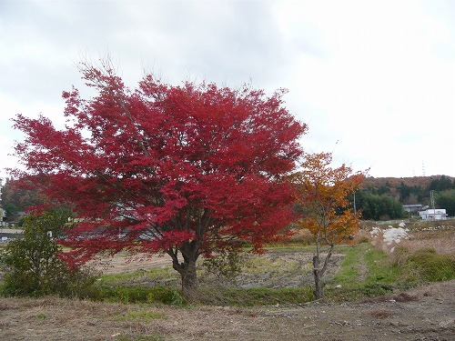 f0223914_10581923.jpg