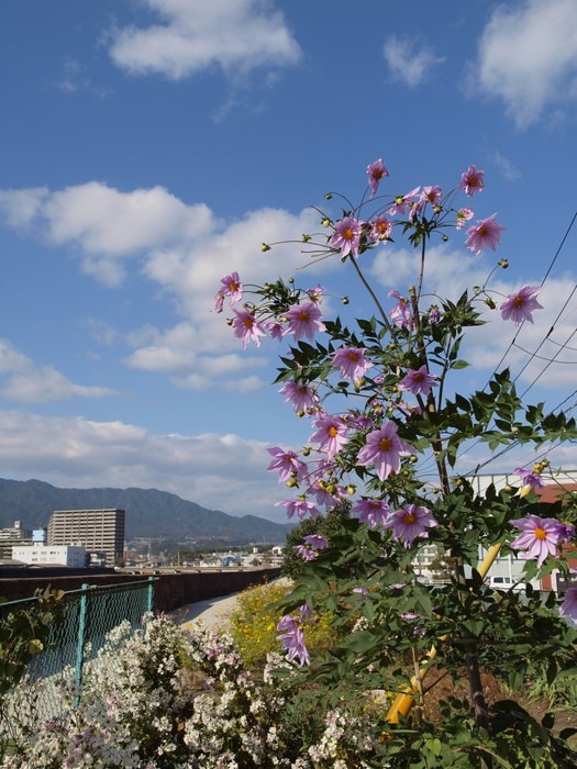 高校周辺の風景_c0116915_0233731.jpg