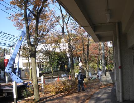 c0178917_123677.jpg