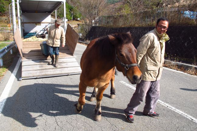 馬耕!! ついにこの日がっっっ!!_e0015223_17373389.jpg