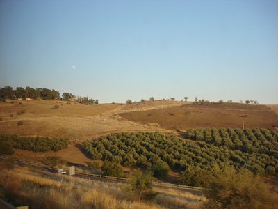 b0164428_18103171.jpg