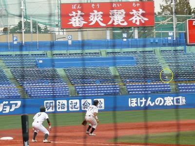 東農大（２部最下位）対順天堂大（３部優勝）　１１月１５日　東都大学野球入替戦　_b0166128_9102721.jpg