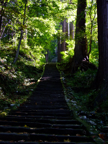 「山形・庄内 羽黒山参拝」_a0000029_020547.jpg