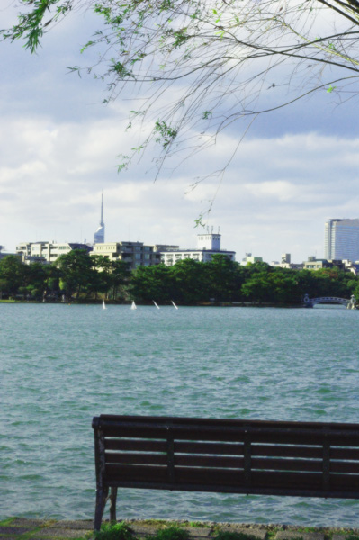 b0147329_720432.jpg