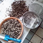 d0048332_13342759.gif