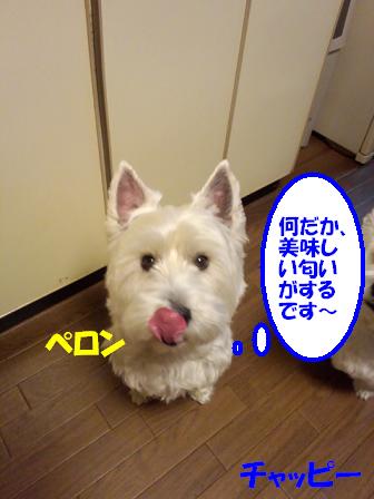 c0212637_235290.jpg