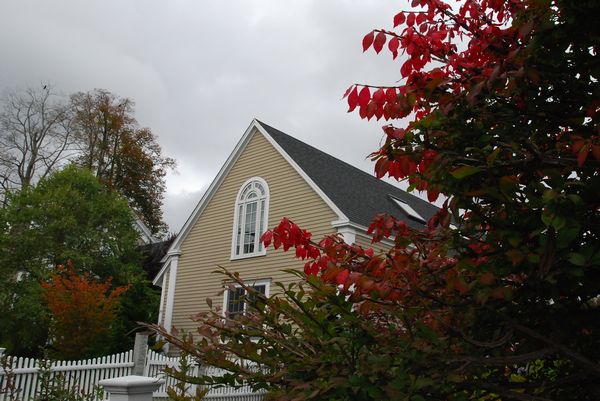 e0098241_221887.jpg