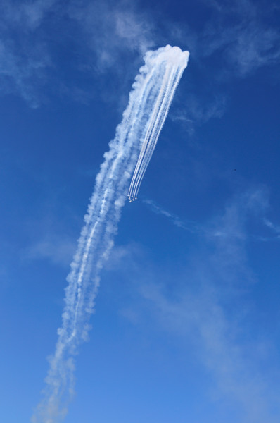 b0190445_21322213.jpg