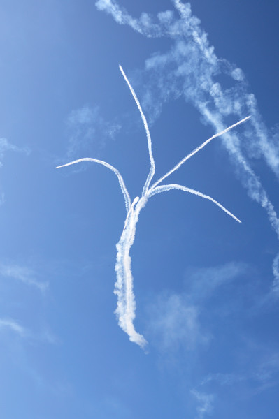 b0190445_21335276.jpg