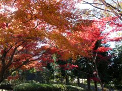富士川街道 第1回_f0019247_1954383.jpg