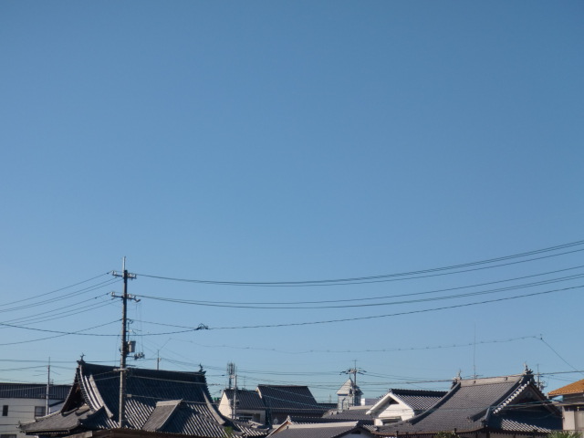 b0152548_1750640.jpg