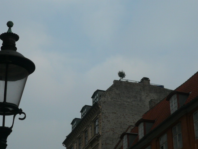 b0109054_7213555.jpg