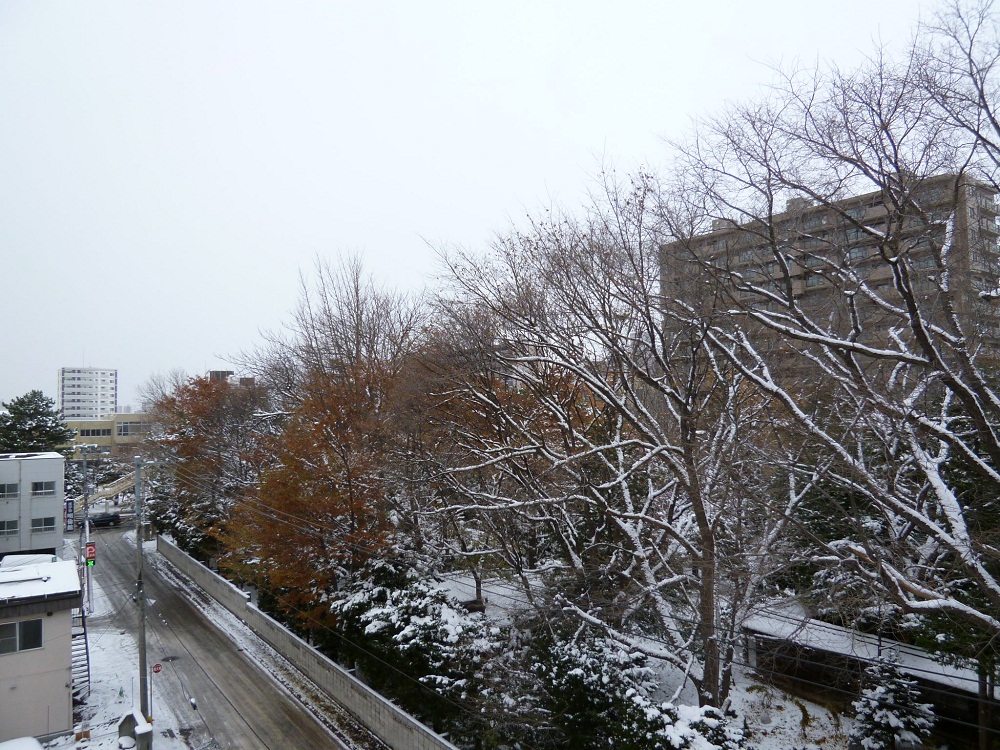 a0193457_21112091.jpg