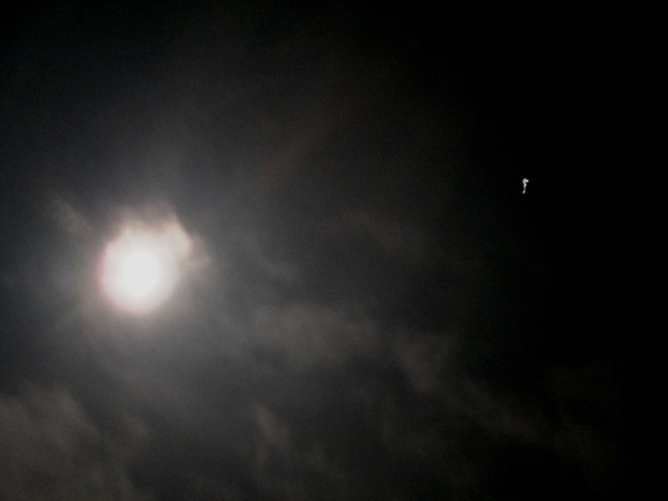 a0174458_0782.jpg