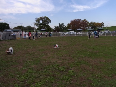 e0059267_135972.jpg