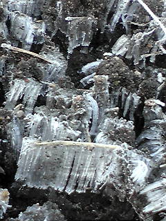 f0208775_7464723.jpg