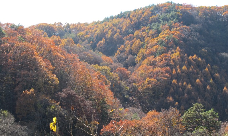 a0091680_1616230.jpg